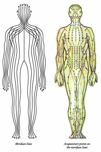 Acupressure Meridian