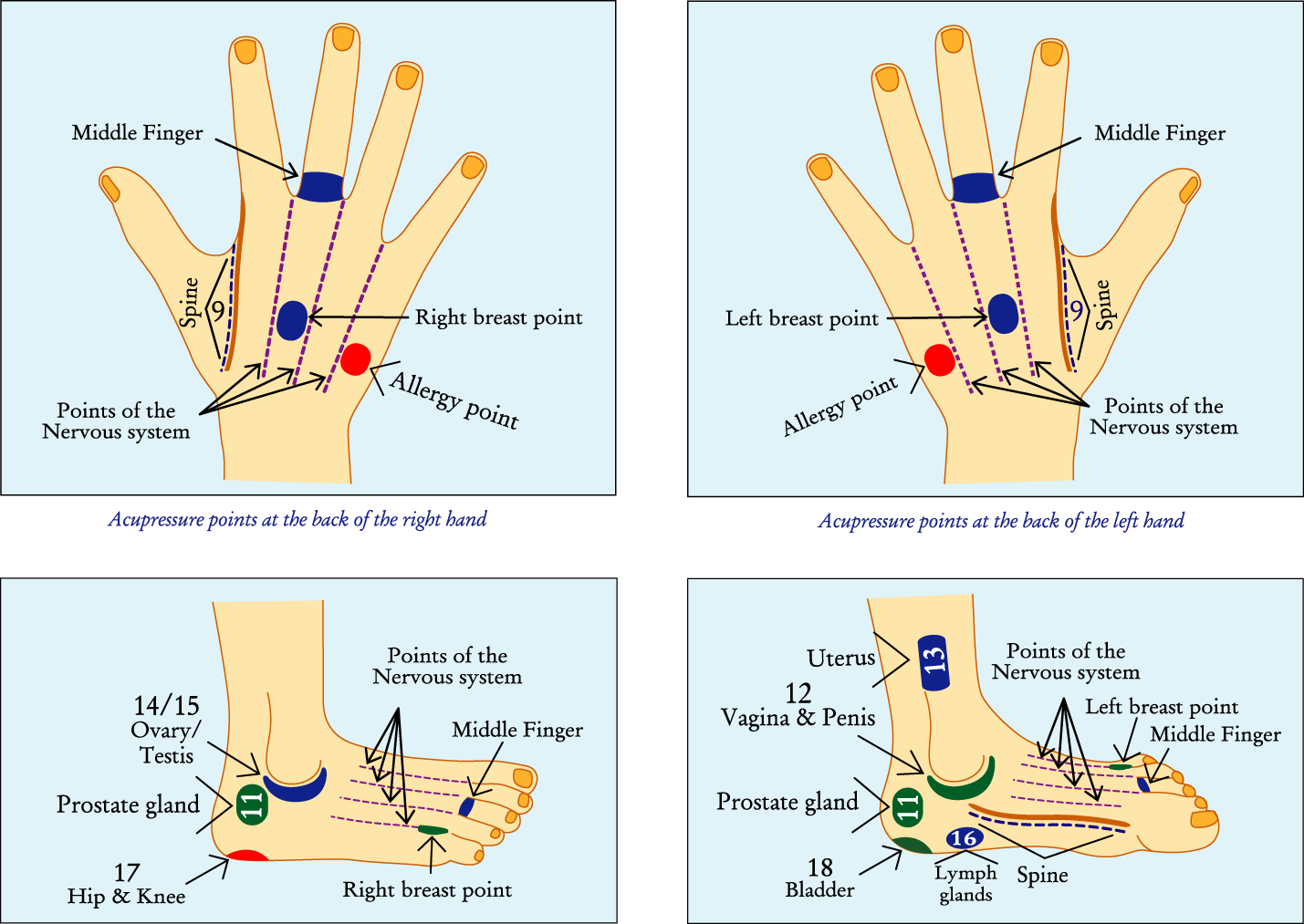 Acupressure points in Back side hands