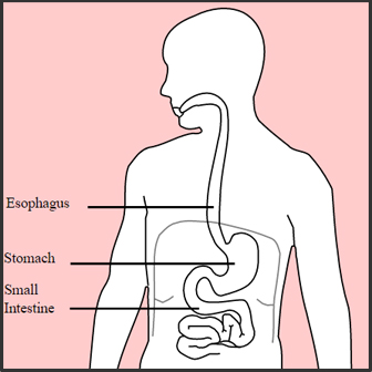 Stomach diseases