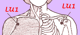 asthma Lung 1 (Lu 1) points